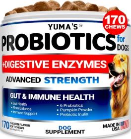 Probiotics & Digestive Enzymes for Dogs – Gut Health, Gas & Diarrhea Relief