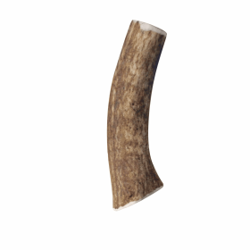 KONG(R) Wild Antler Whole (size: medium)