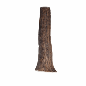 KONG(R) Wild Antler Whole (size: small)