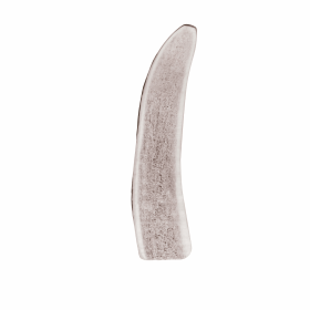 KONG(R) Wild Antler Split (size: small)